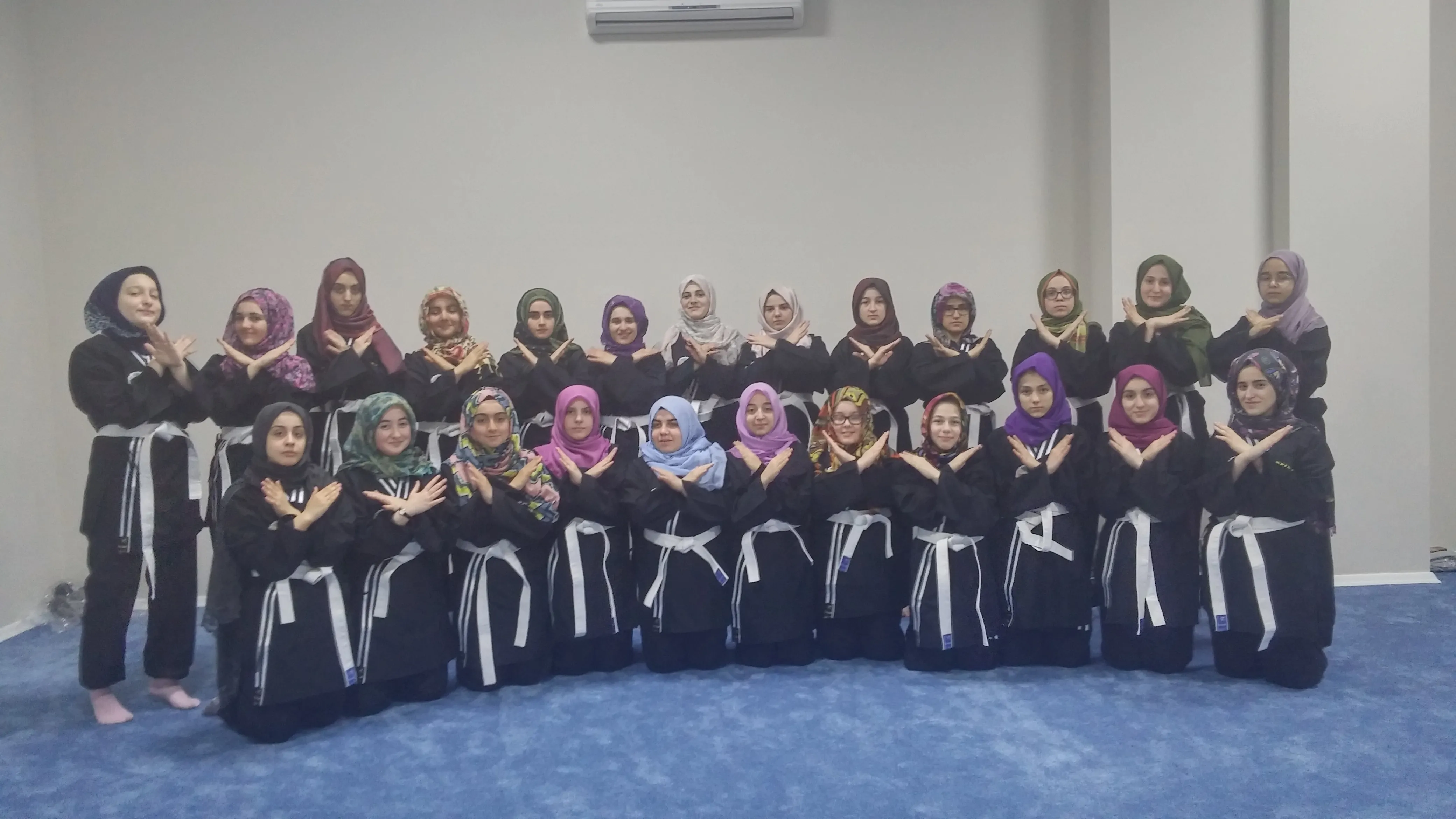 Kadıköy Ahmet Sani gezici Kız Anadolu İmam hatip lisesi Hapkido takımı