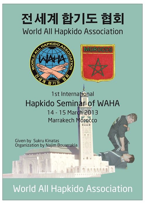 Hapkido Afiş